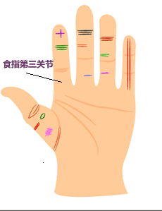 食指第三节节纹图解